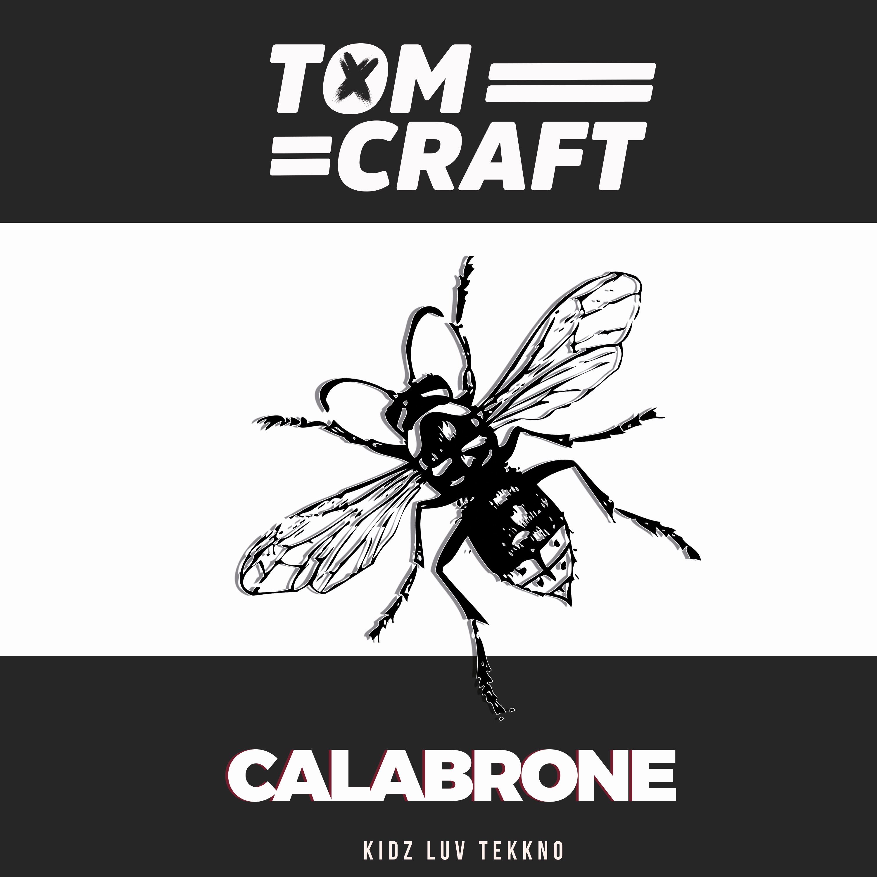 Calabrone album cover