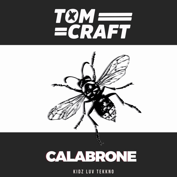 Calabrone album cover
