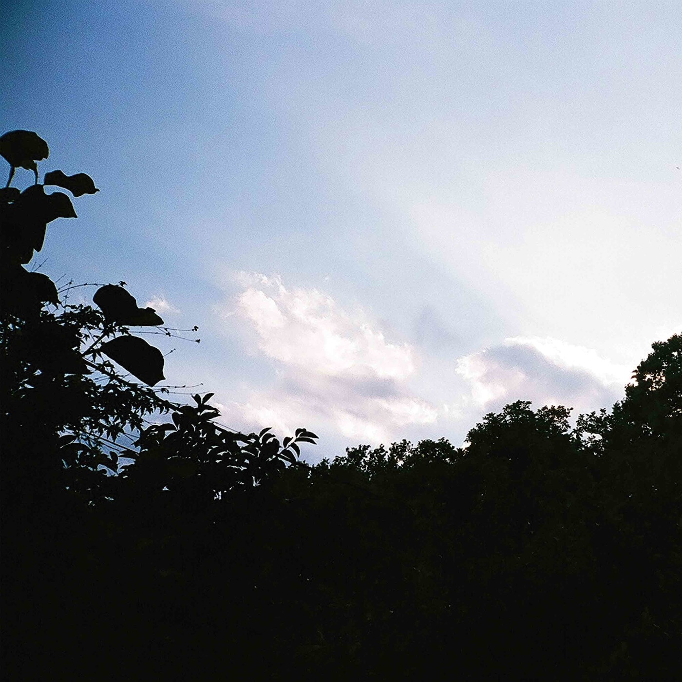 Tetra - EP album cover