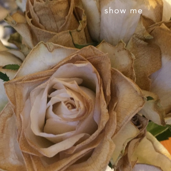Show Me - Single album cover