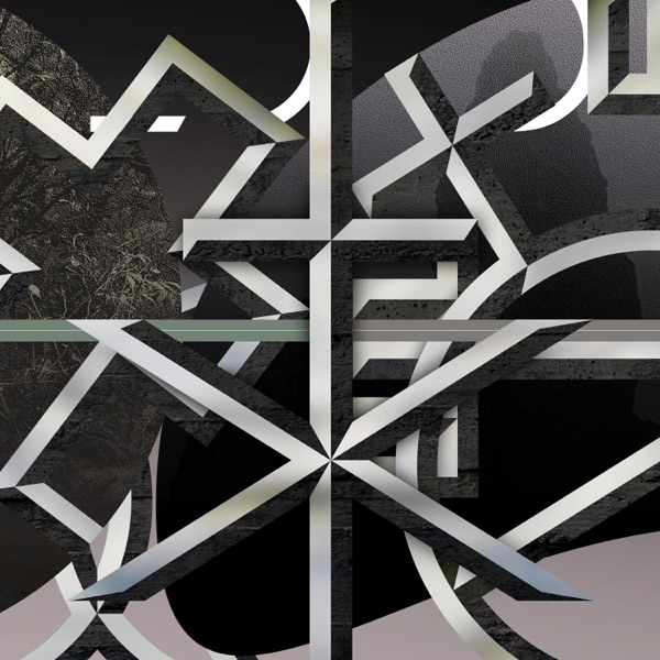 The Parallel album cover