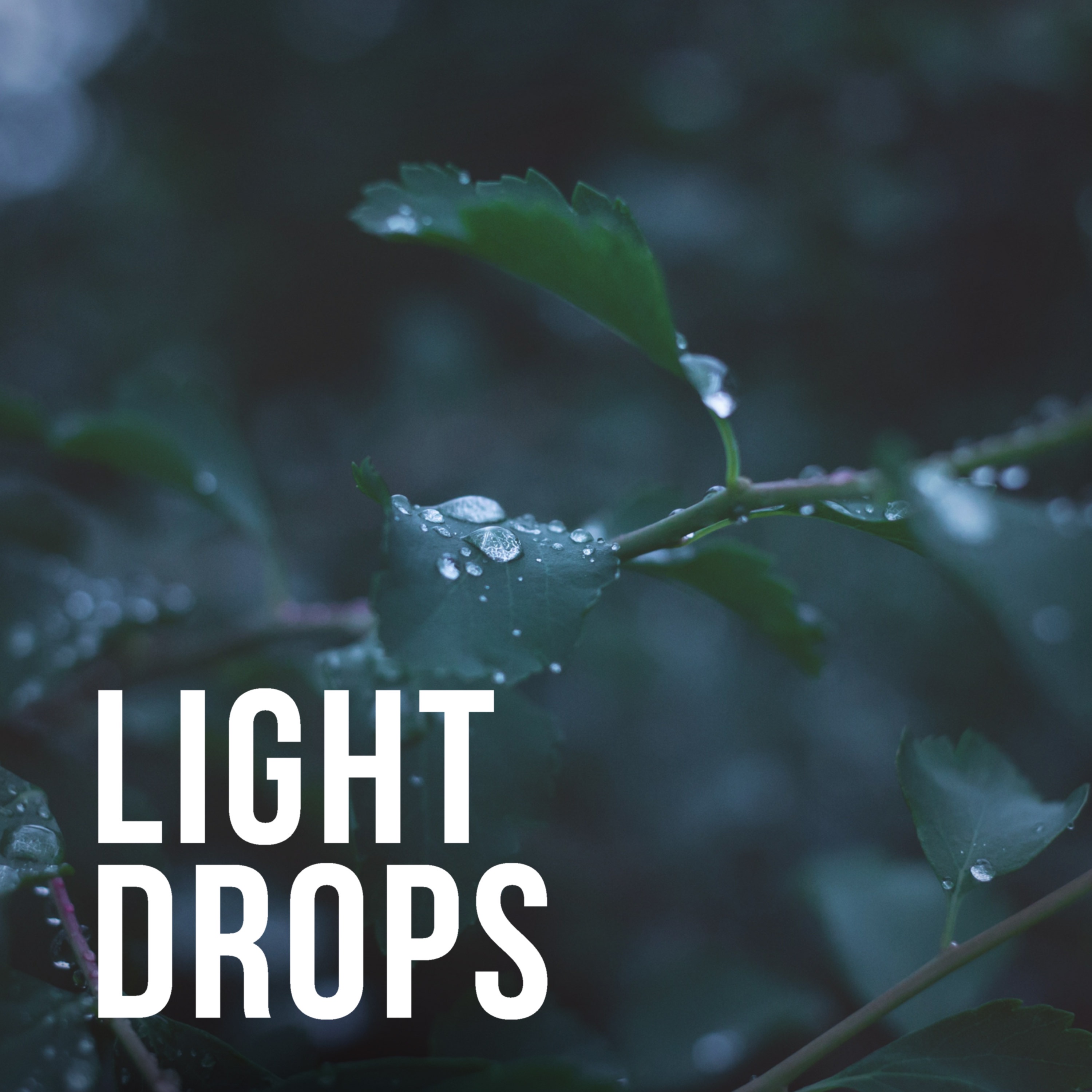 Light Drops album cover