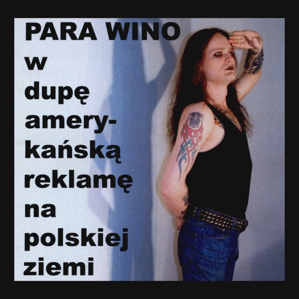 W dupę amerykańską reklamę na polskiej ziemi album cover