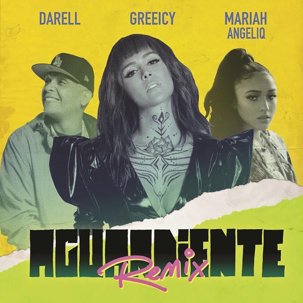 Aguardiente (Remix) - Single album cover