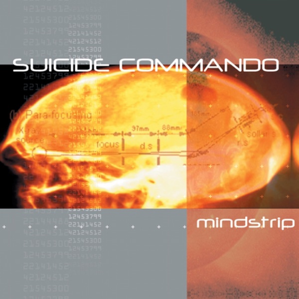 Mindstrip album cover