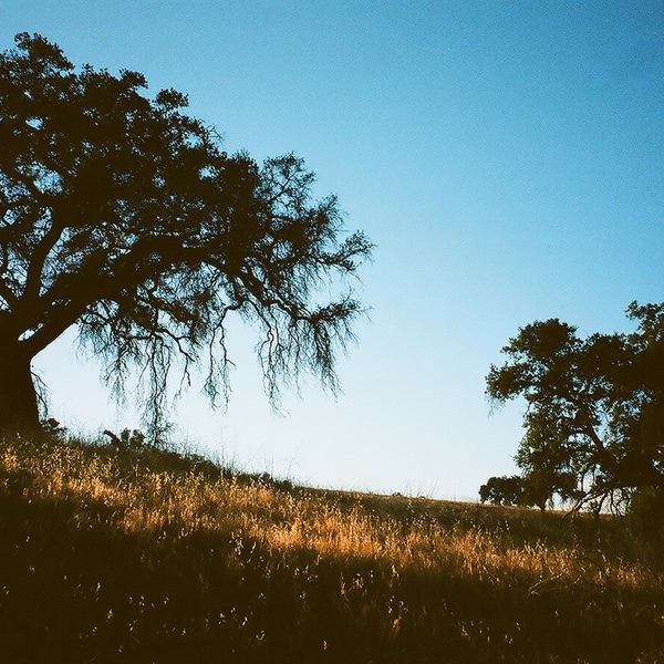 fear - Single album cover
