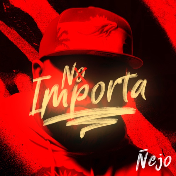 No Importa - Single album cover