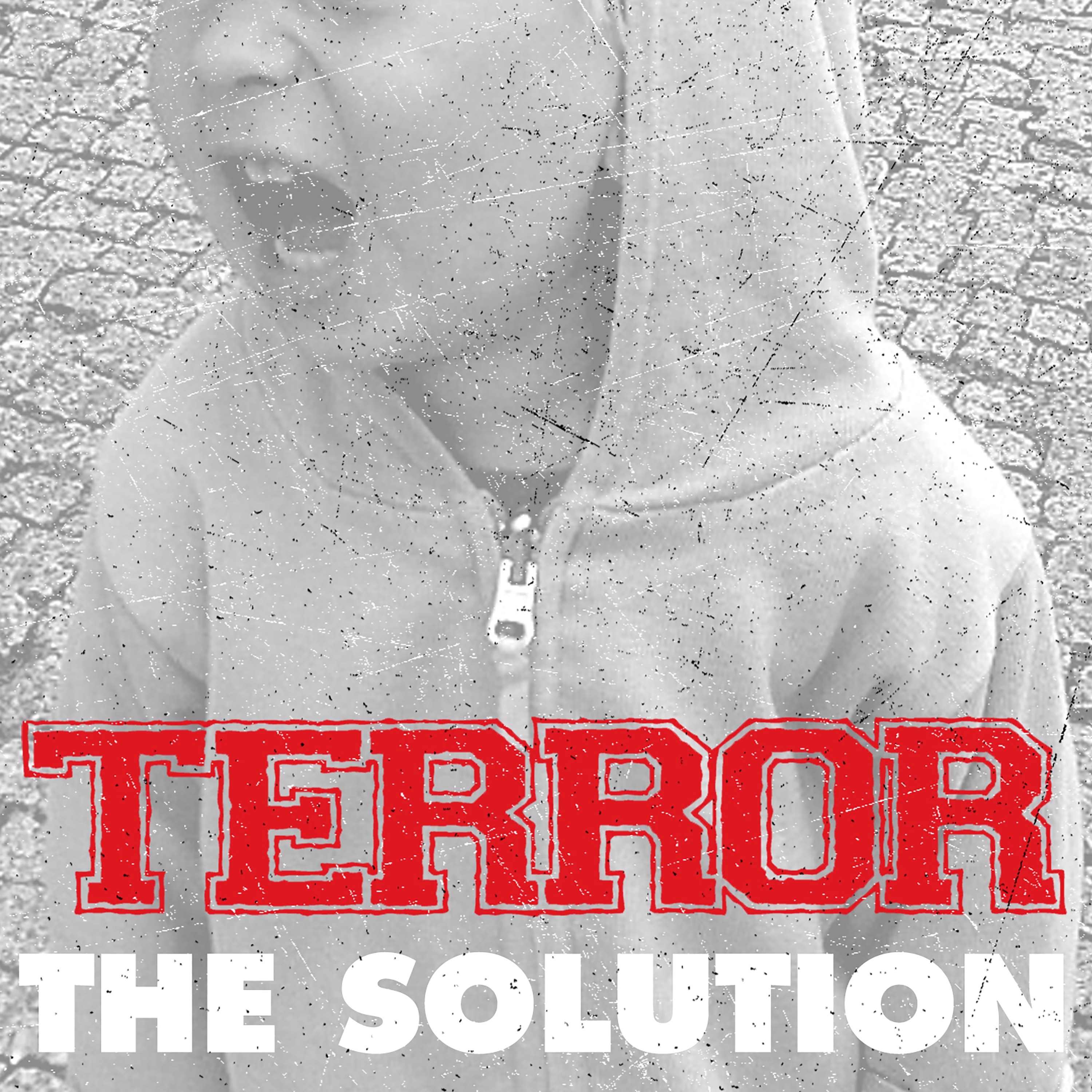 The Solution - Single album cover