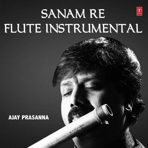 Sanam Re - Flute Instrumental - Single album cover