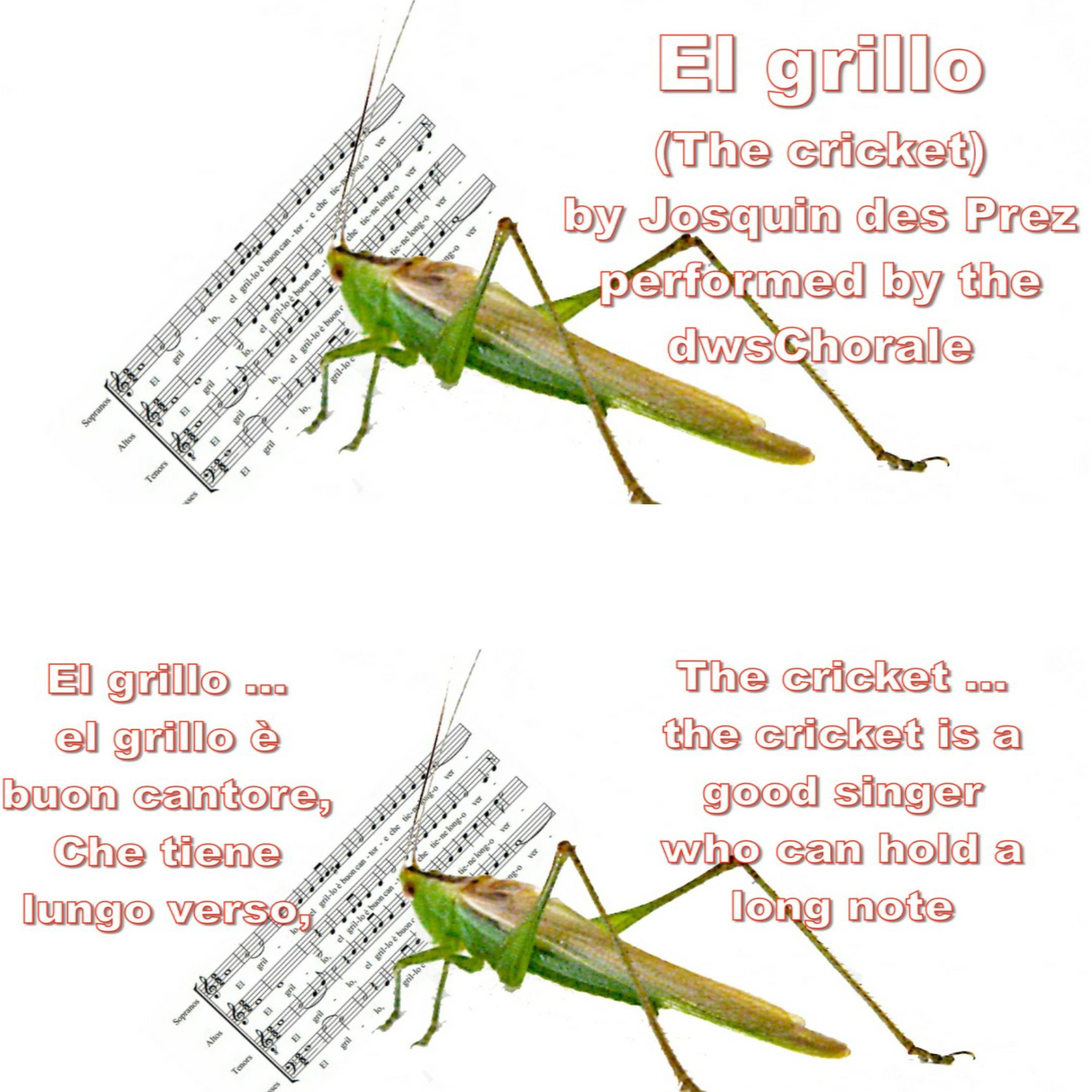 Josquin des Prez - El Grillo (The Cricket) - Single album cover