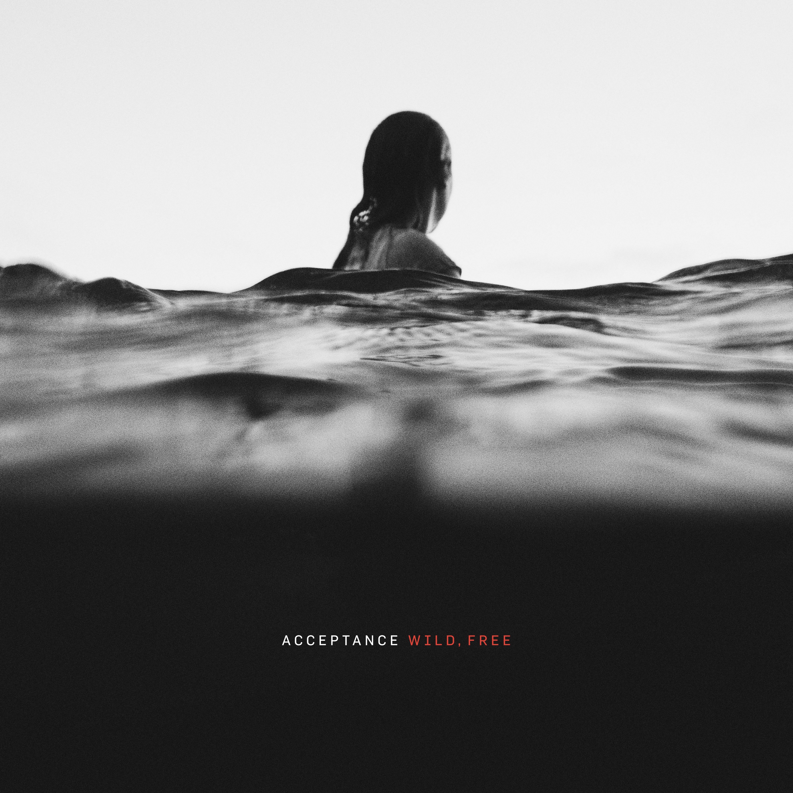 Wild, Free album cover