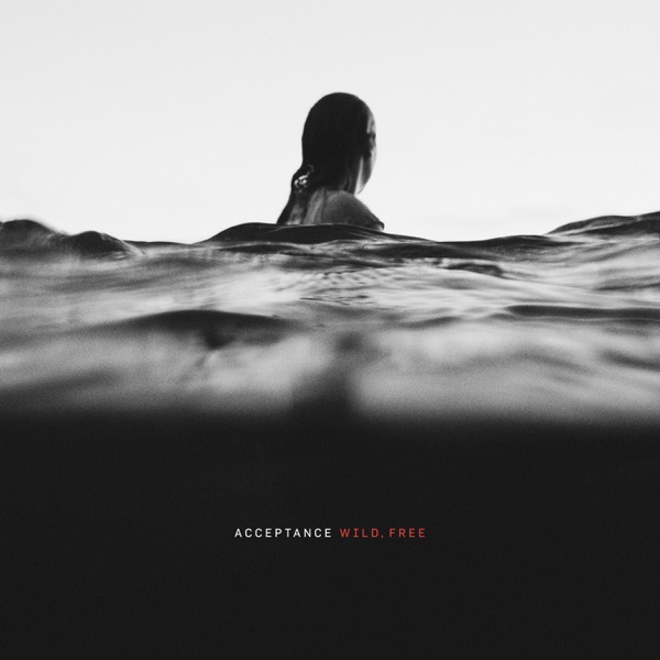 Wild, Free album cover