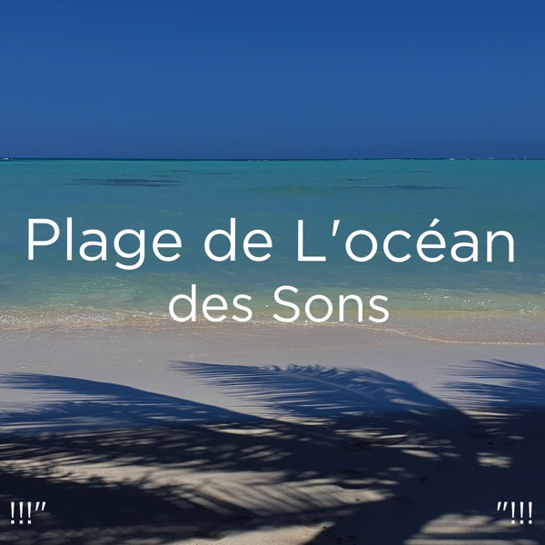 !!!" Plage De L'océan Des Sons "!!! album cover