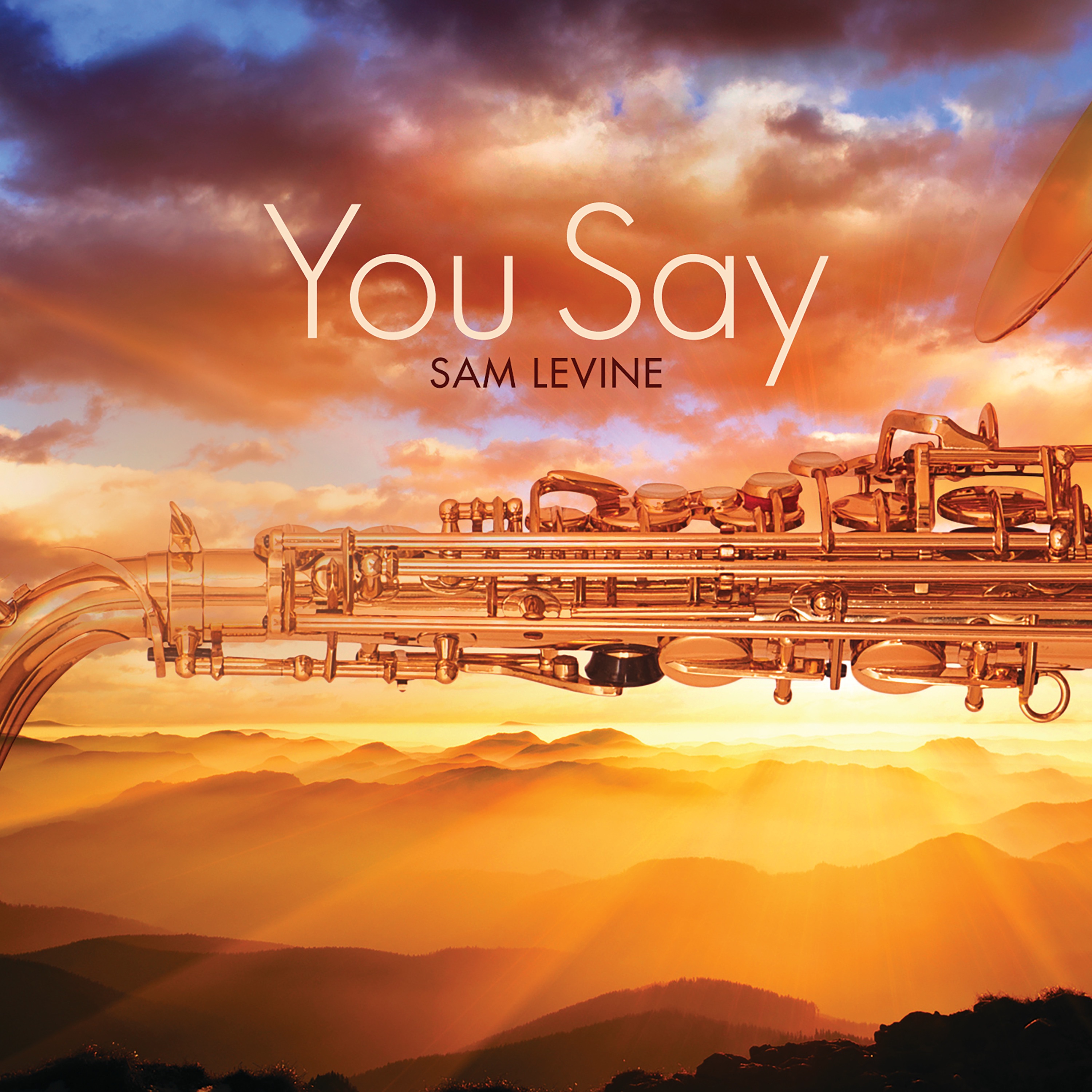 You Say - Single album cover