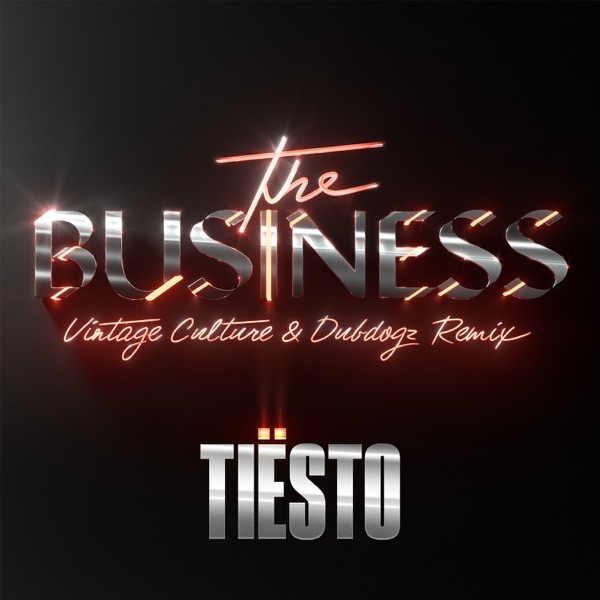 The Business (Vintage Culture & Dubdogz Remix) - Single album cover