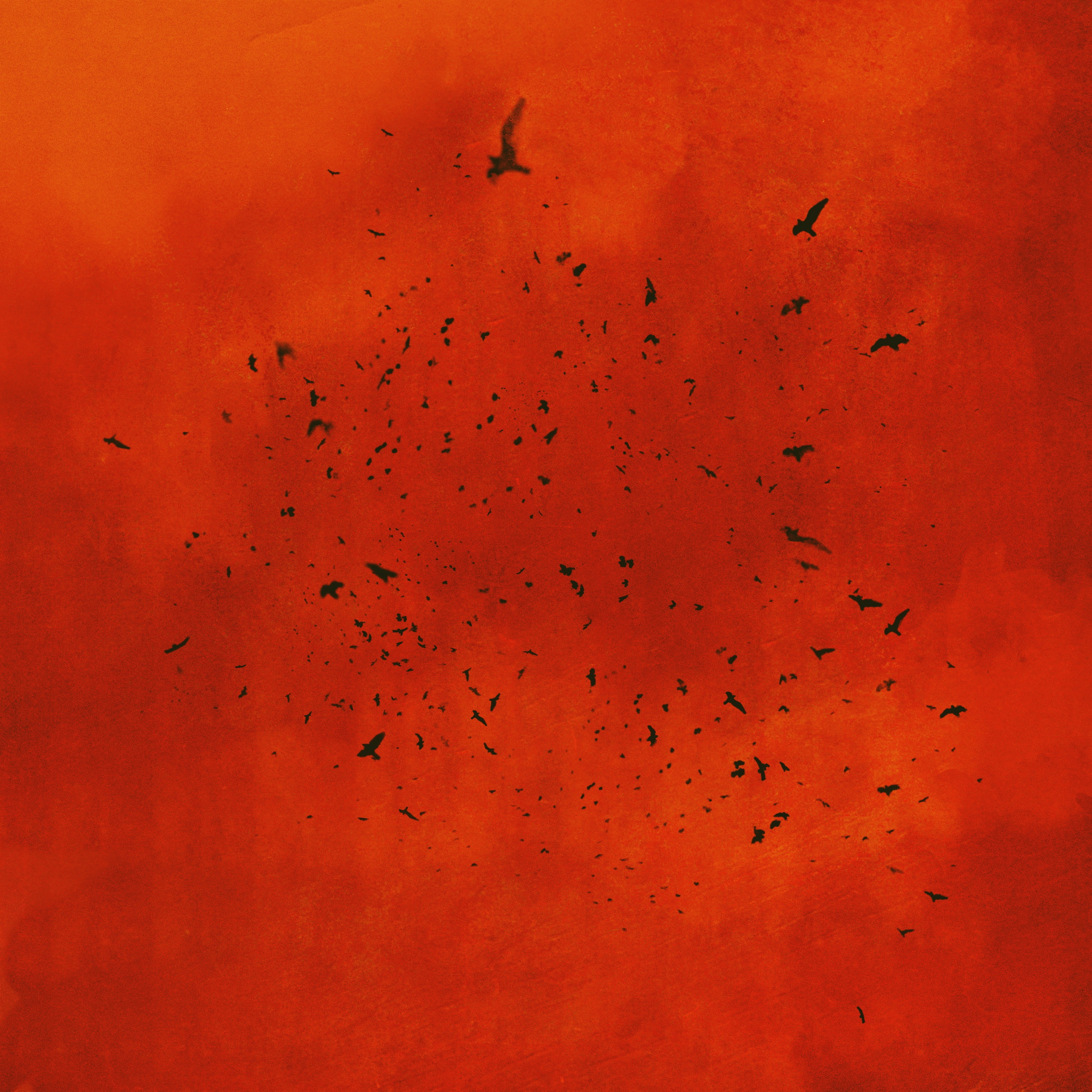 Niemiłość - Single album cover