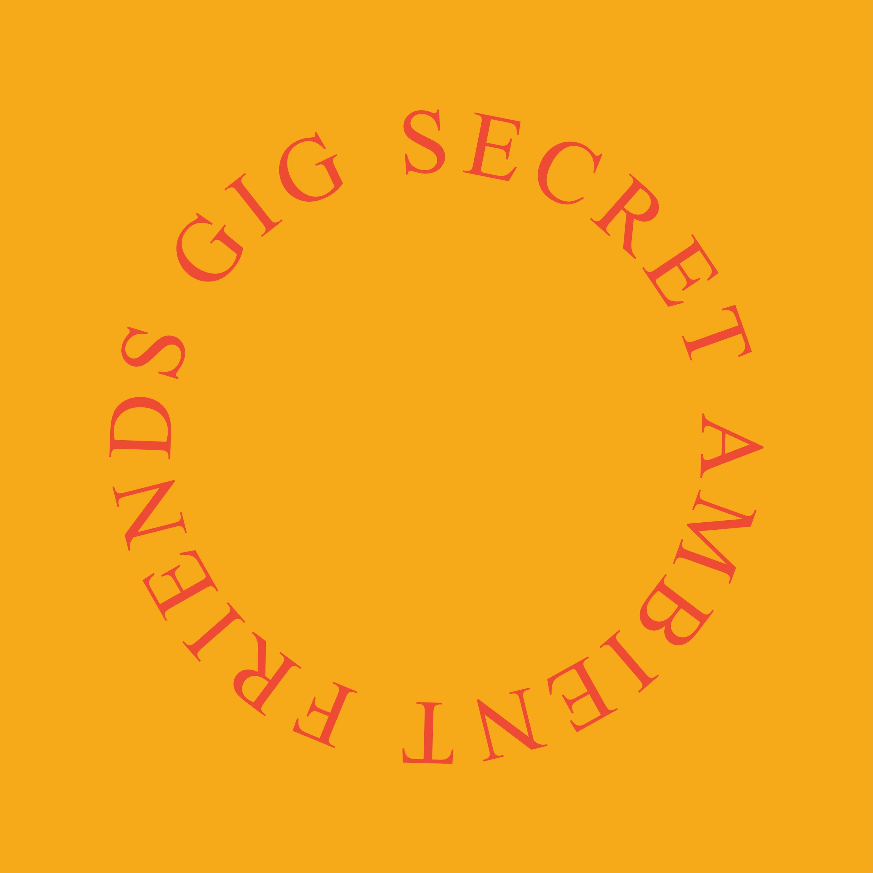 Secret Ambient Friends Gig album cover