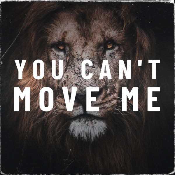 You Can't Move Me - Single album cover