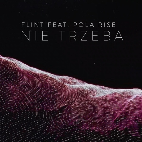 Nie Trzeba (feat. Pola Rise) - Single album cover