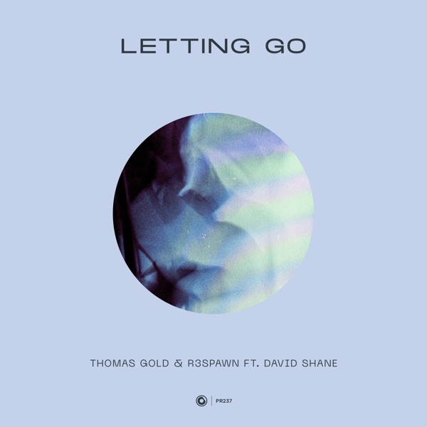 Letting Go (feat. David Shane) - Single album cover