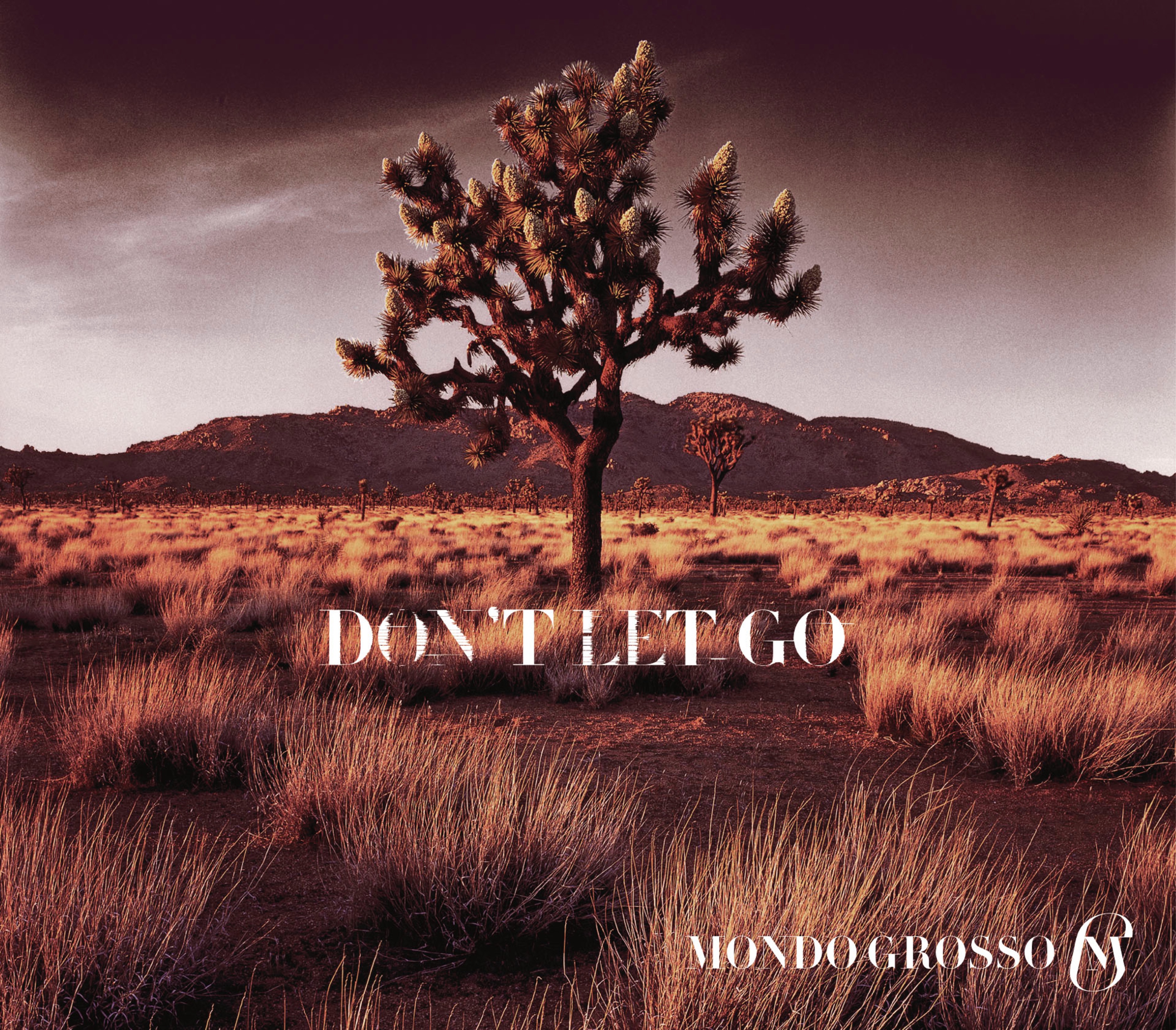 DON'T LET GO - Single album cover
