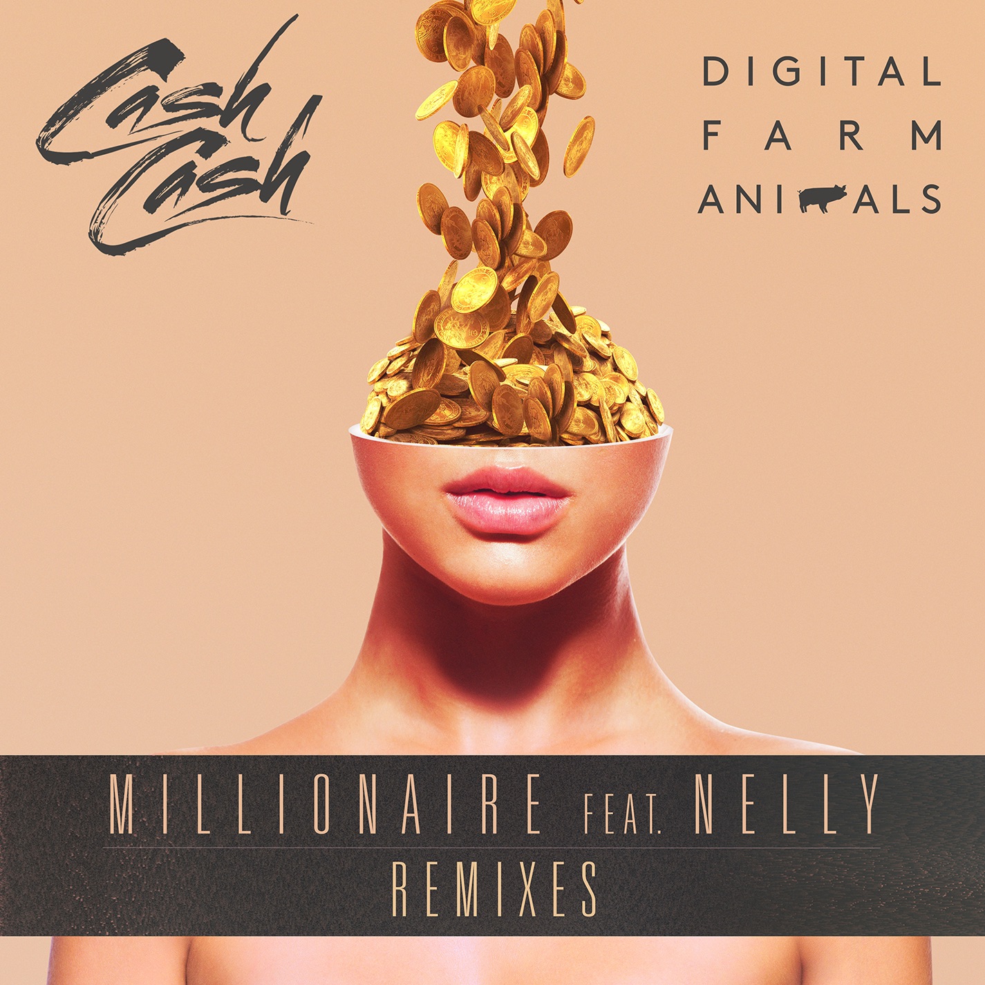 Millionaire (feat. Nelly) [Remixes] album cover