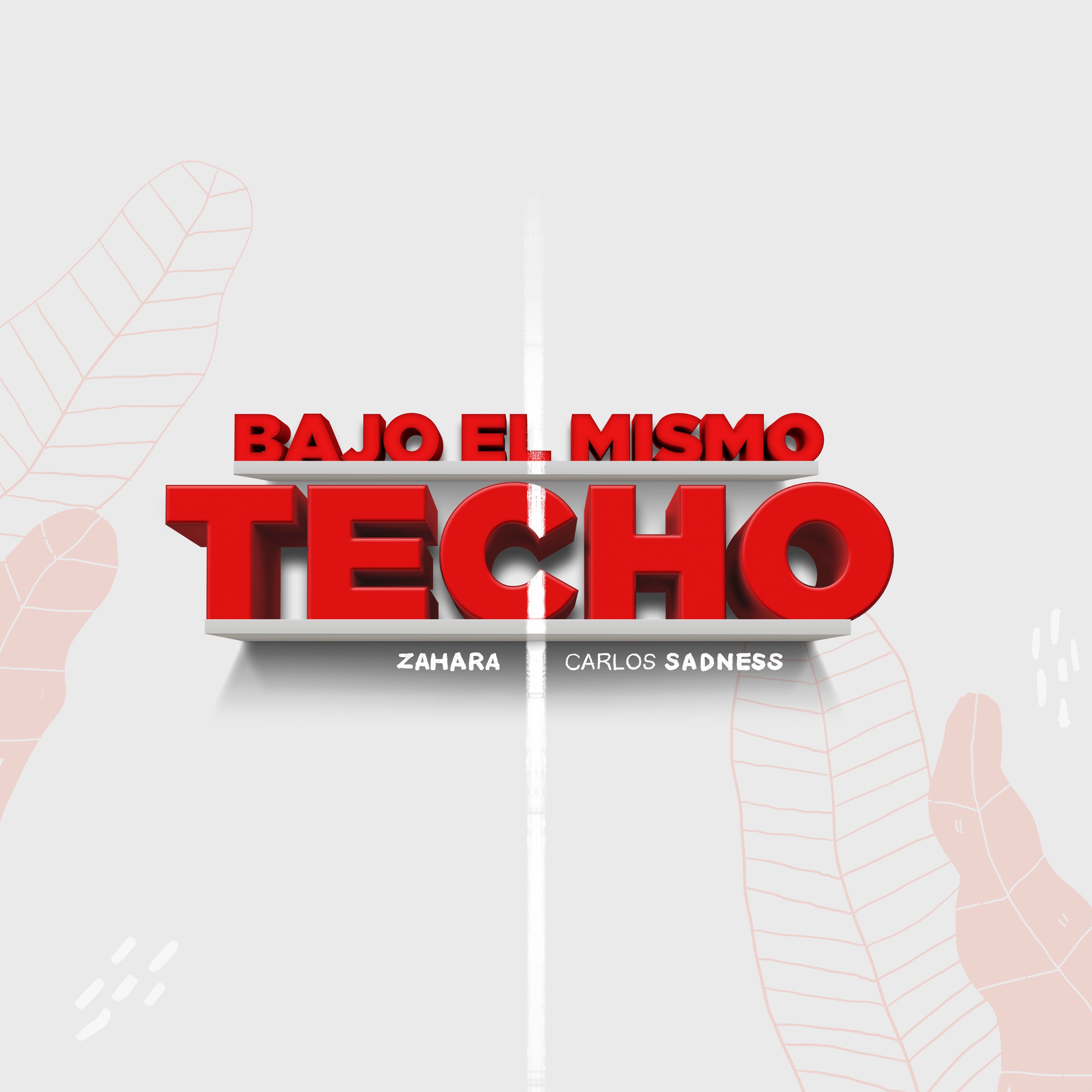 Bajo el Mismo Techo (feat. Zahara) - Single album cover