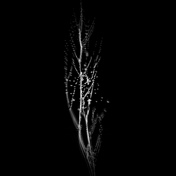 Mysticism - EP album cover