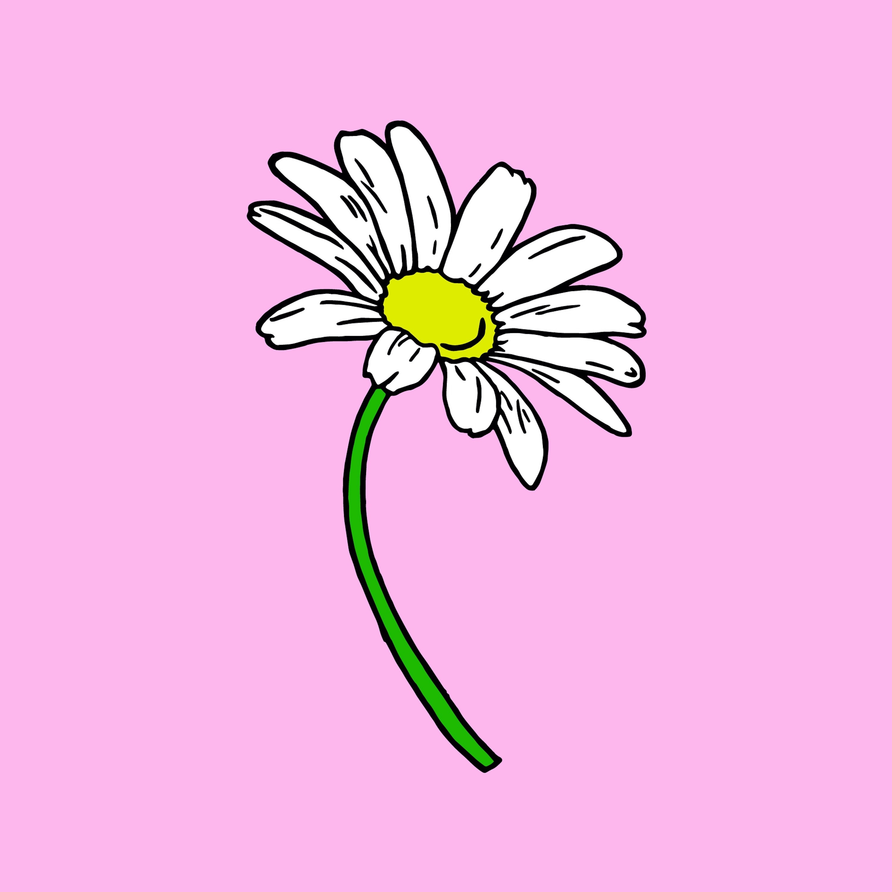 Daisy (feat. Cloudchord) - Single album cover