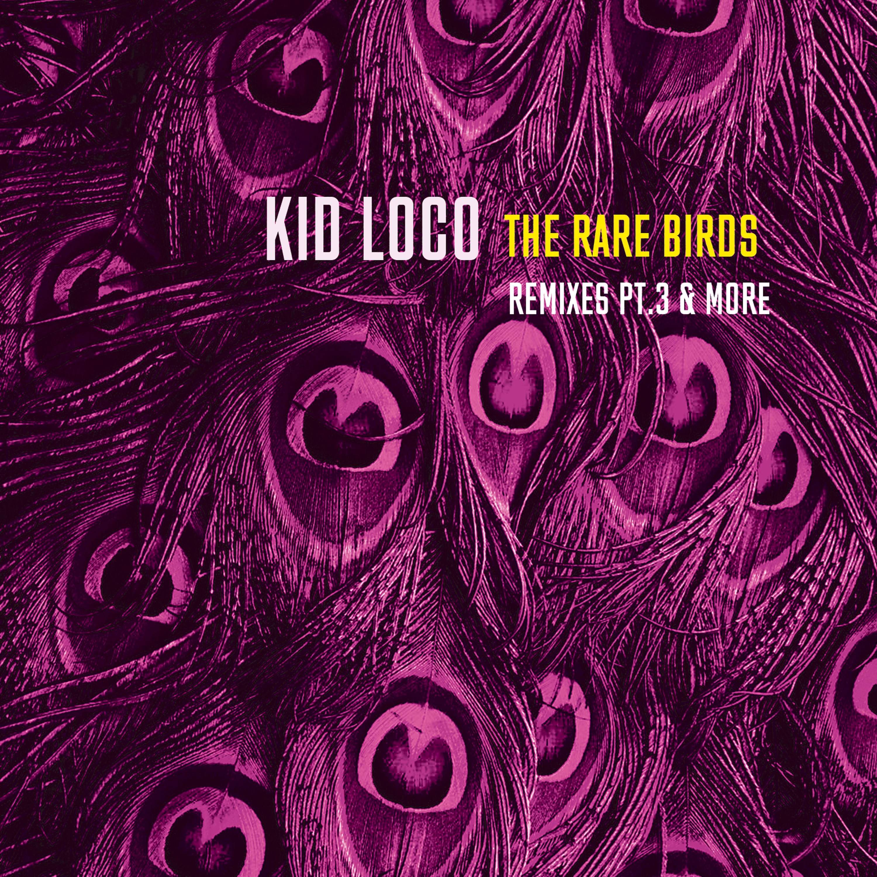 EP The Rare Birds Remixes, Pt. 3 & More album cover