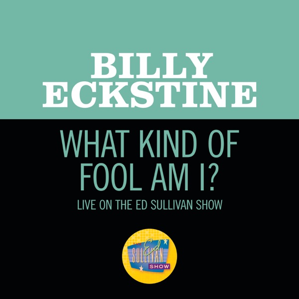 What Kind Of Fool Am I? (Live On The Ed Sullivan Show, July 22, 1962) - Single album cover