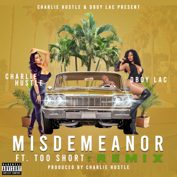 Misdemeanor (Remix) - Single [feat. Too $hort] - Single album cover