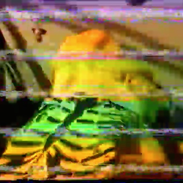 VeganLeather - Single album cover