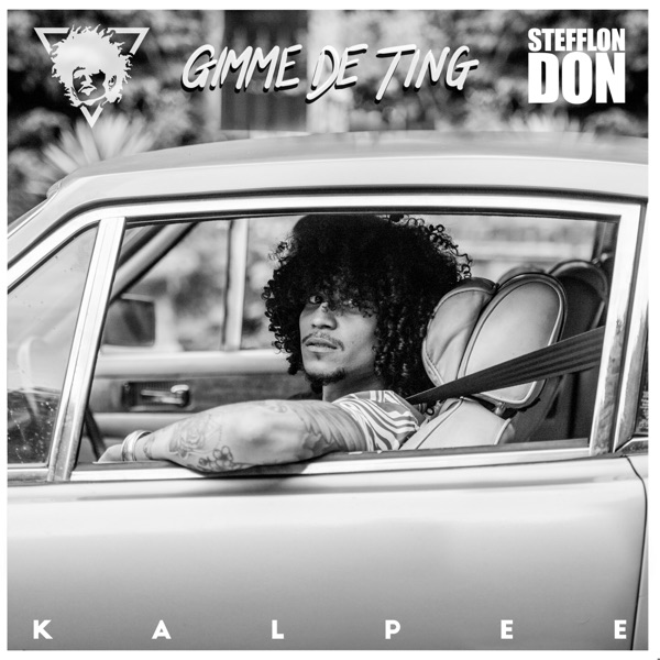 Gimme De Ting (feat. Stefflon Don) - Single album cover