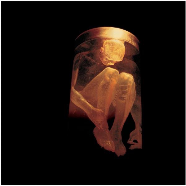 Nothing Safe: The Best of the Box album cover