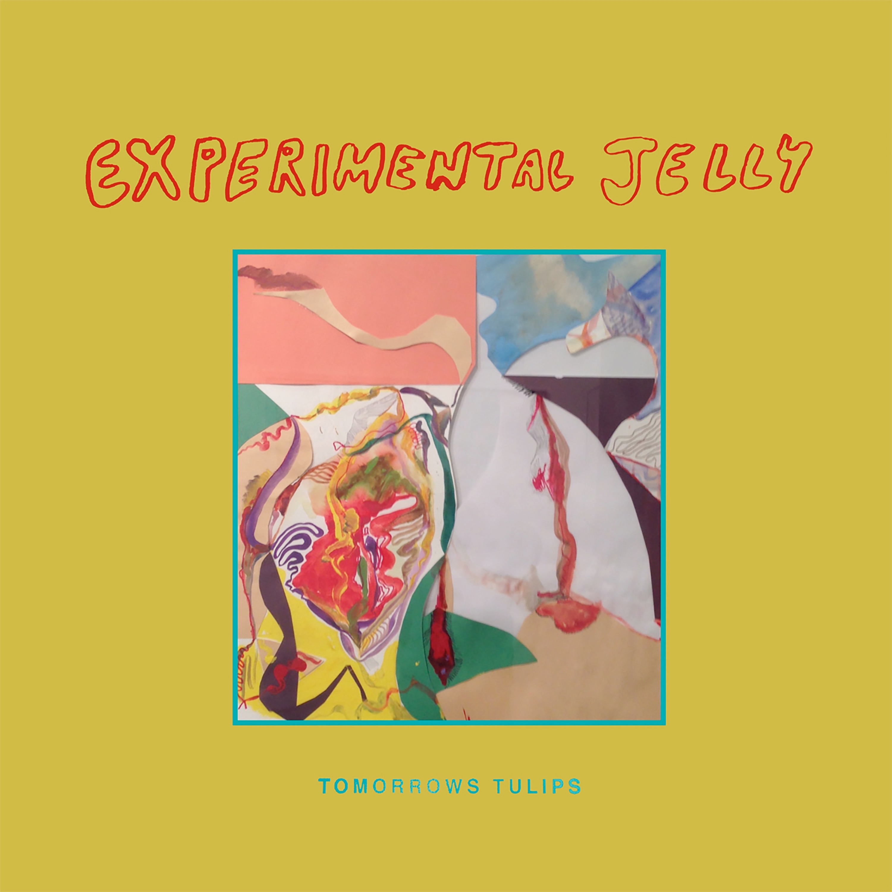 Experimental Jelly album cover