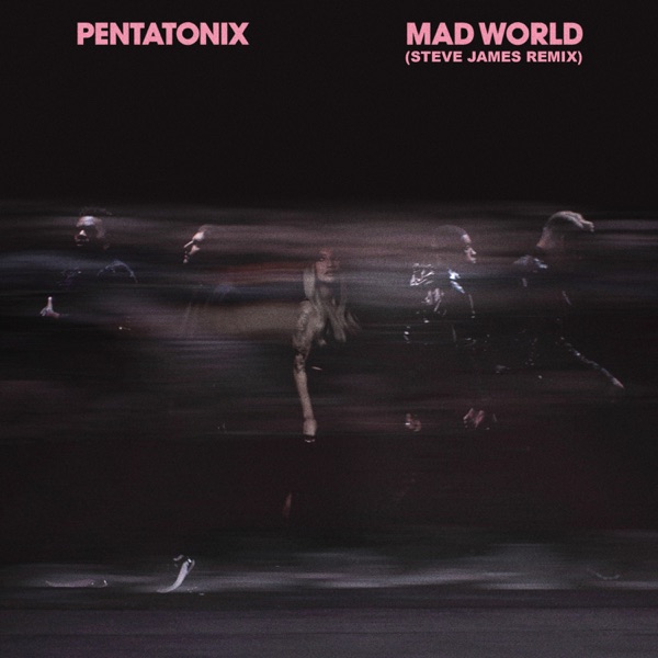 Mad World (Steve James Remix) - Single album cover