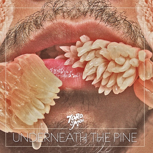 Underneath the Pine album cover