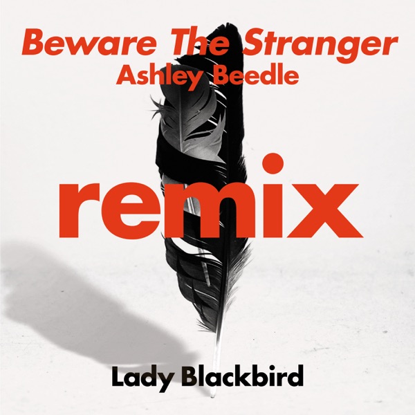 Beware The Stranger (Ashley Beedle Remix) - Single album cover