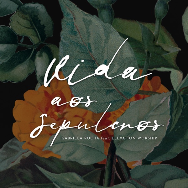 Vida aos Sepulcros (feat. Elevation Worship) - Single album cover