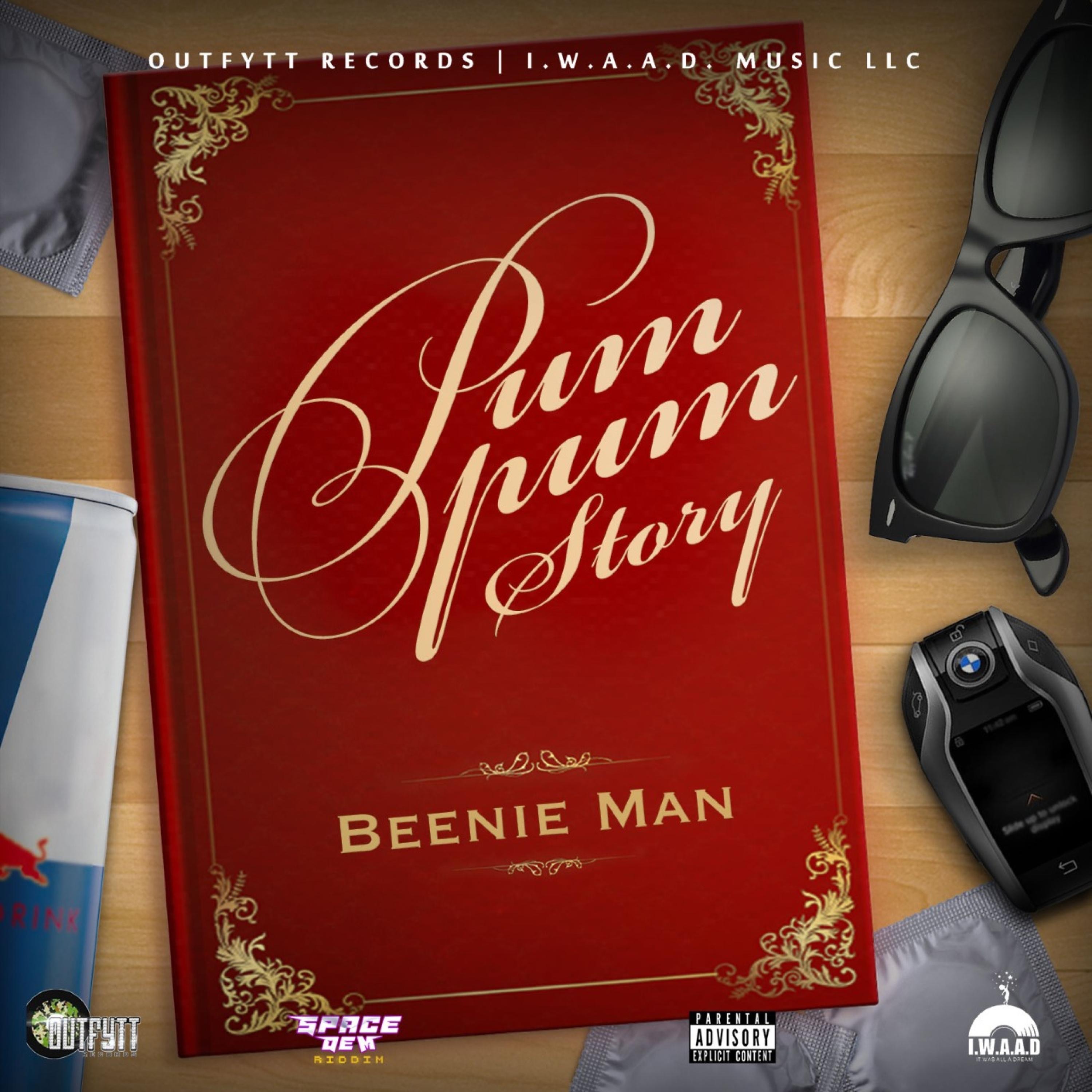 Pum Pum Story - Single album cover