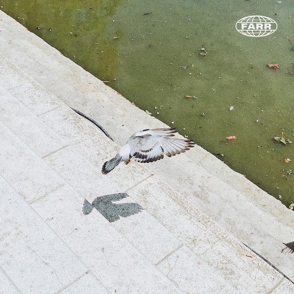 Freedom (Insightful Remix) - Single album cover