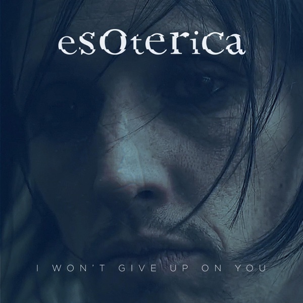 I Won't Give up on You - Single album cover
