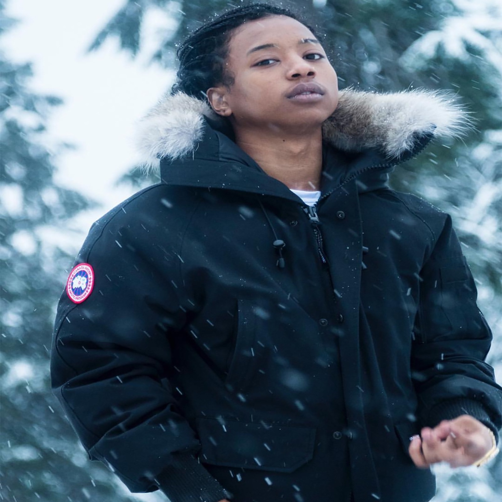 Canada Goose - Single album cover