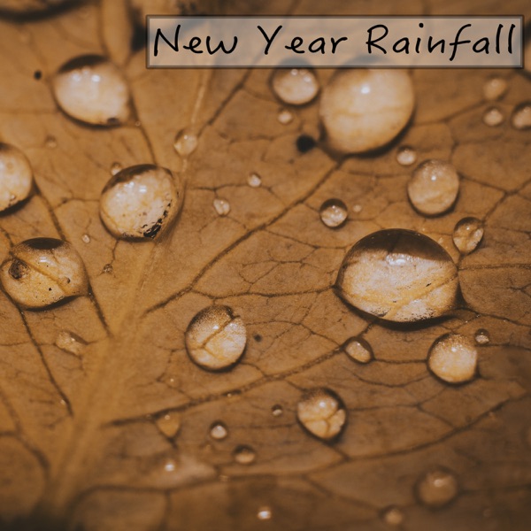New Year Rainfall album cover