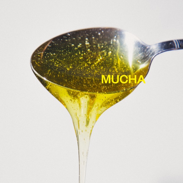 Mucha (feat. Jan-Rapowanie) - Single album cover