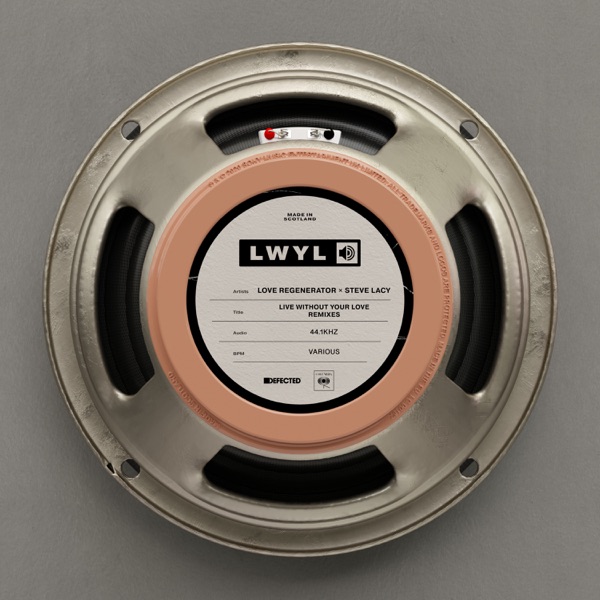 Live Without Your Love (Remixes) - Single album cover