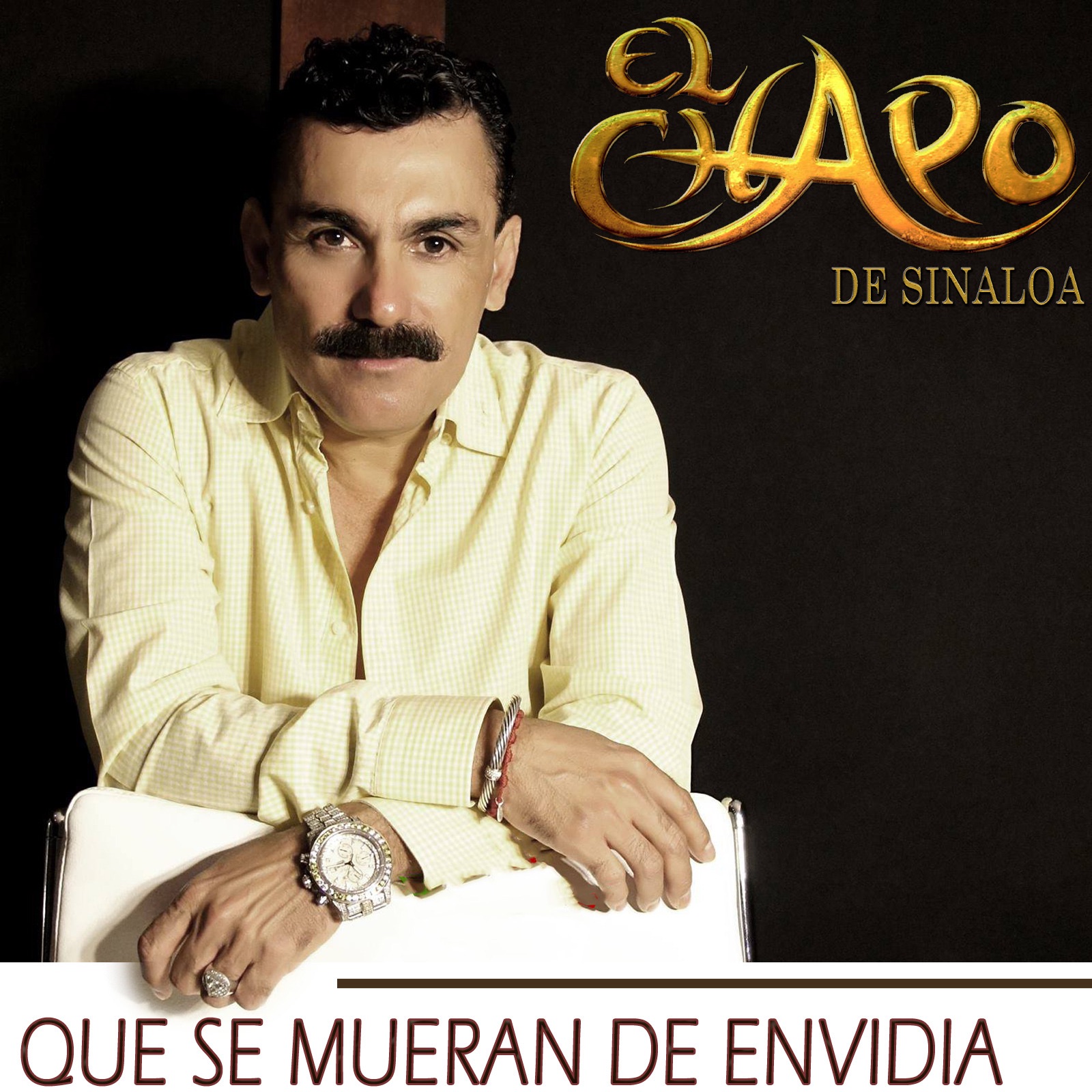Que Se Mueran de Envidia - Single album cover