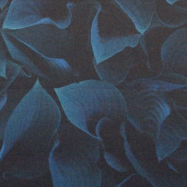 Little More Time - Single album cover