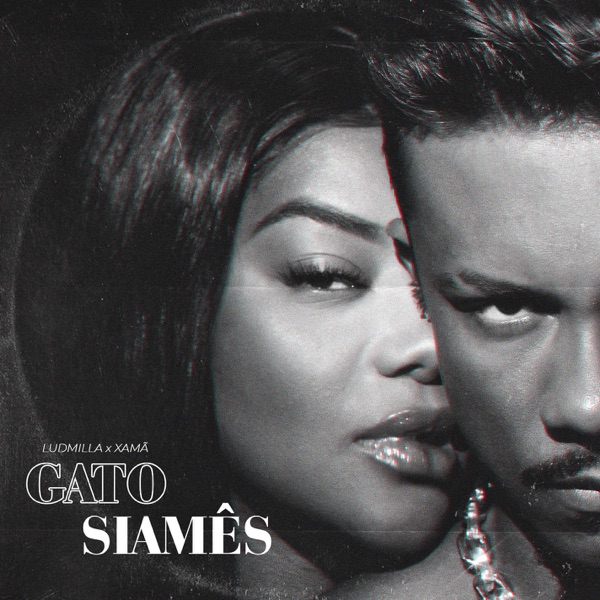 Gato Siamês - Single album cover